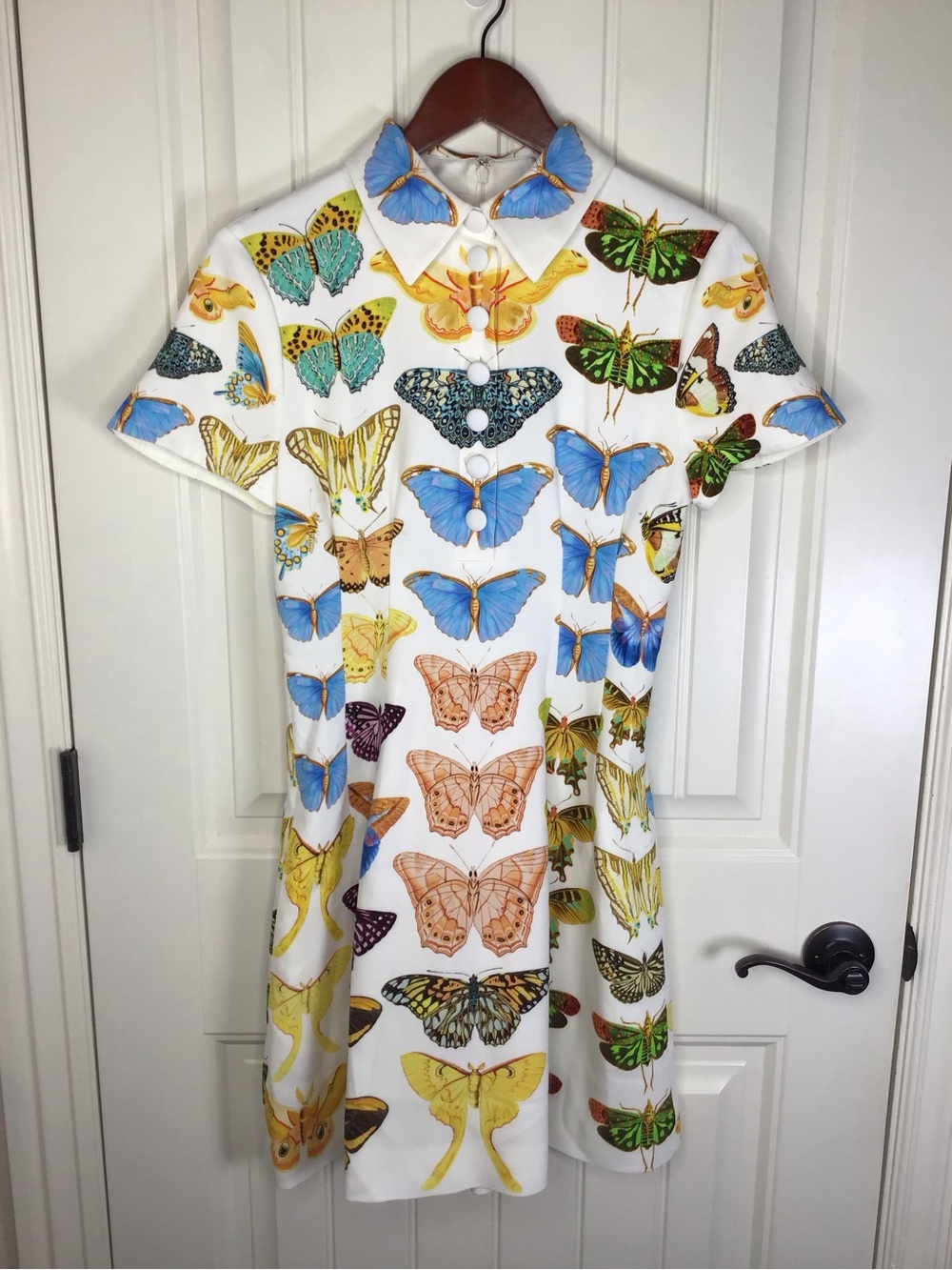 Reiss Tansy NYBG Butterfly Print Mini Dress Size 8. - Picture 2 of 12